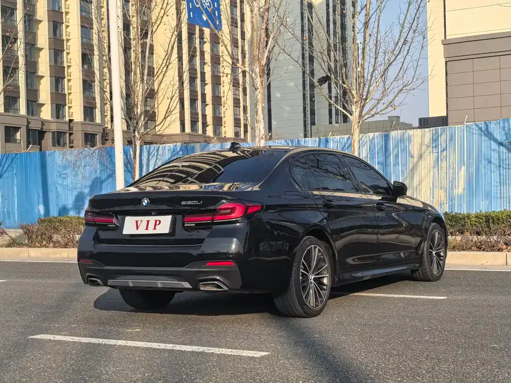BMW 5 Series 2021 из CN, фото 7