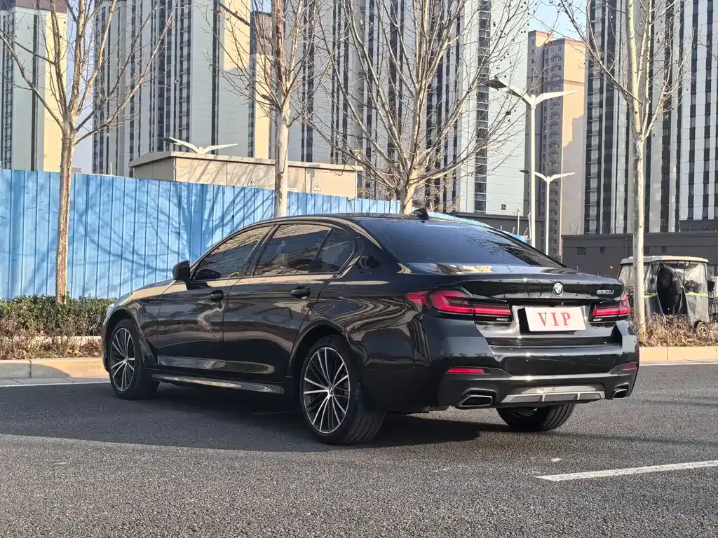 BMW 5 Series 2021 из CN, фото 10