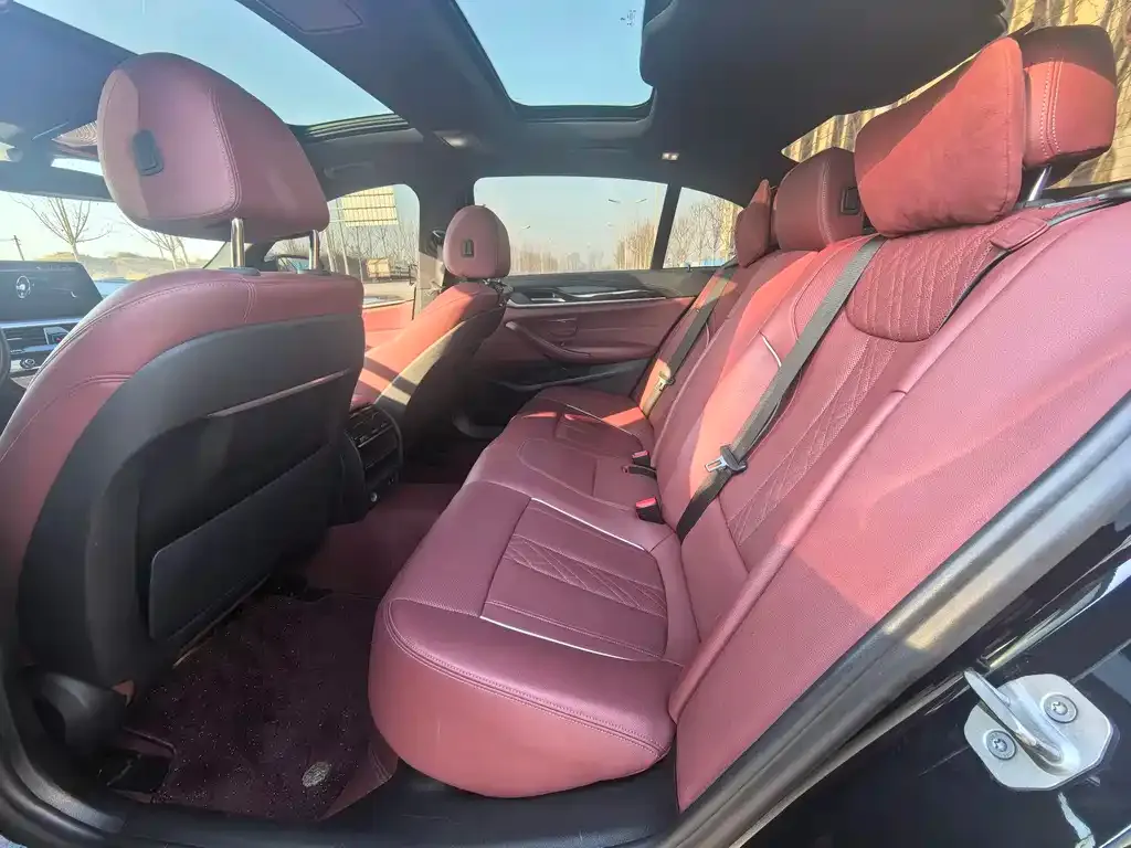 BMW 5 Series 2021 из CN, фото 6