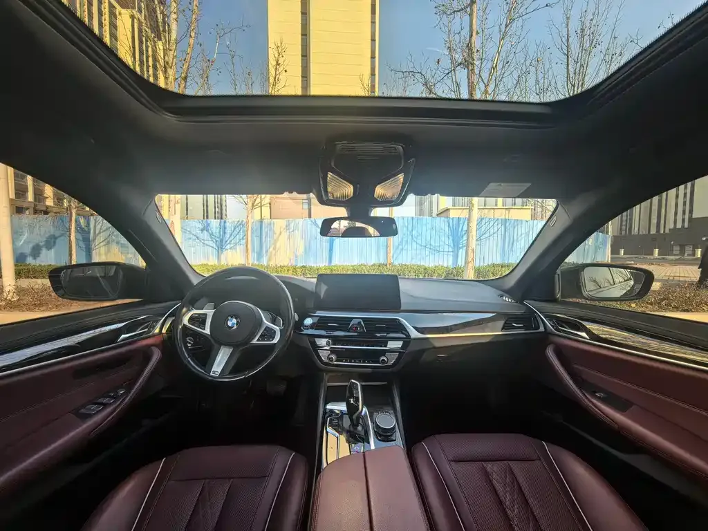BMW 5 Series 2021 из CN, фото 3