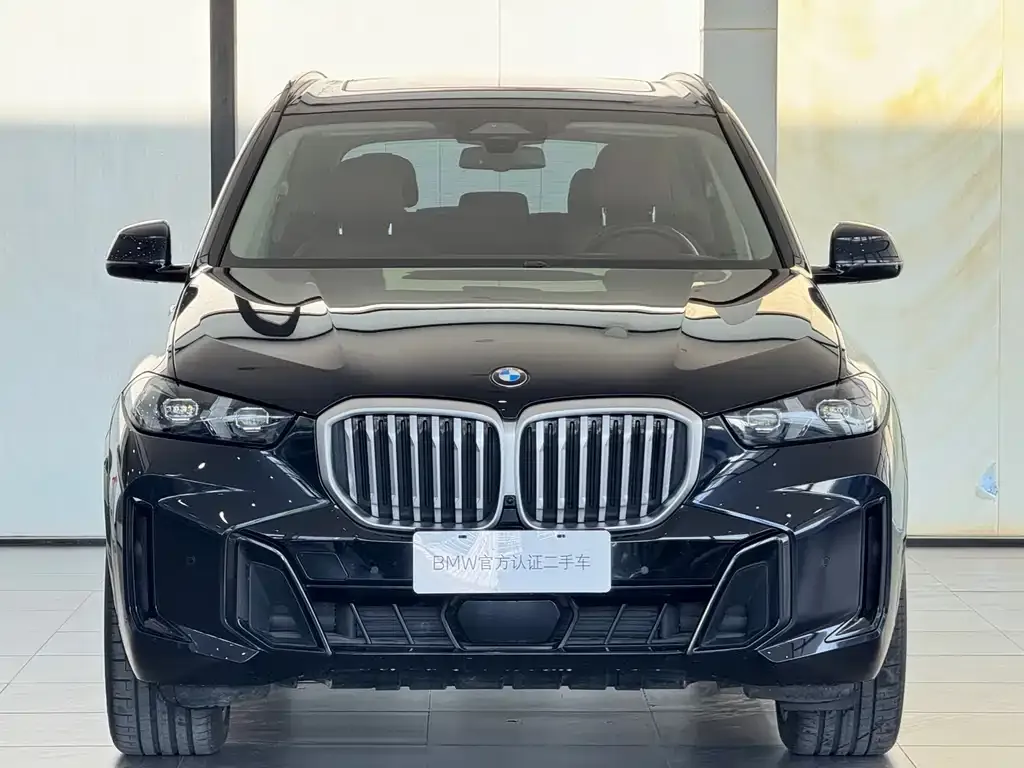 BMW X5 — фото 10
