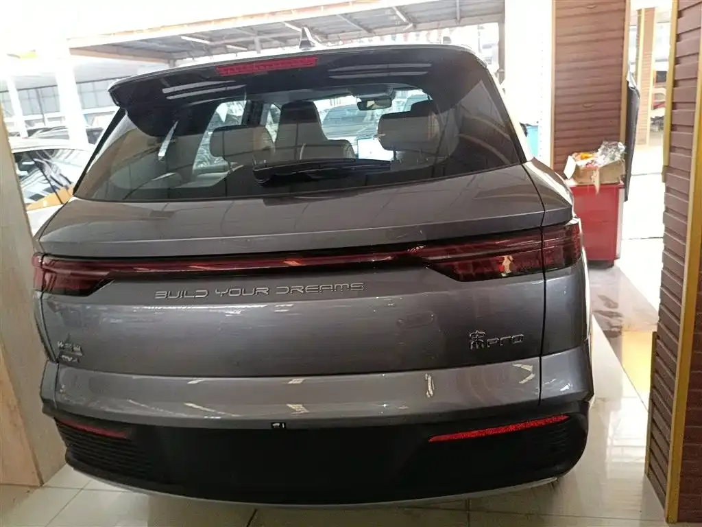 BYD Pro New Energy — фото 2