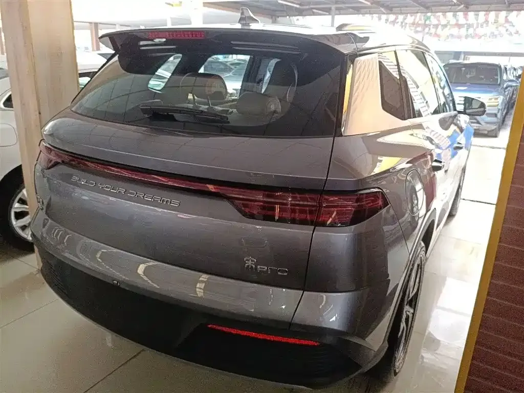 BYD Pro New Energy — фото 6