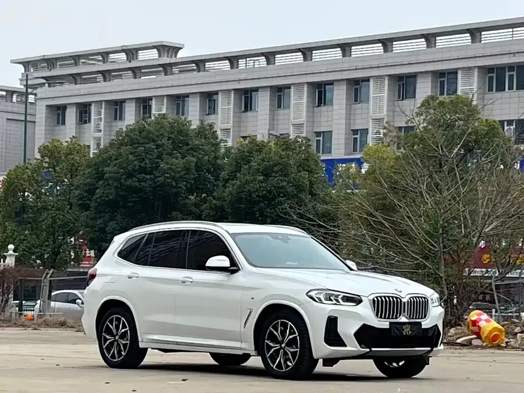 BMW X3 2023 из CN, фото 4
