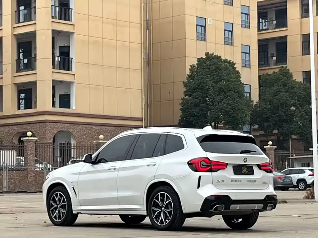 BMW X3 2023 из CN, фото 6