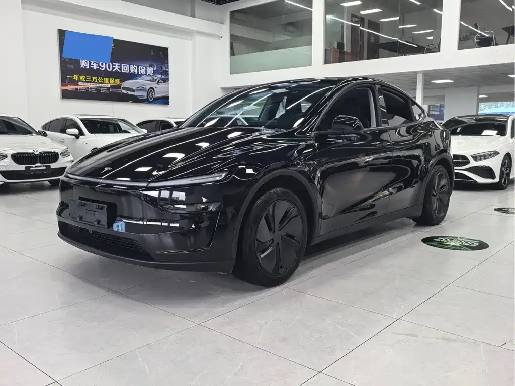 Tesla Model Y 2025 из CN, фото 1