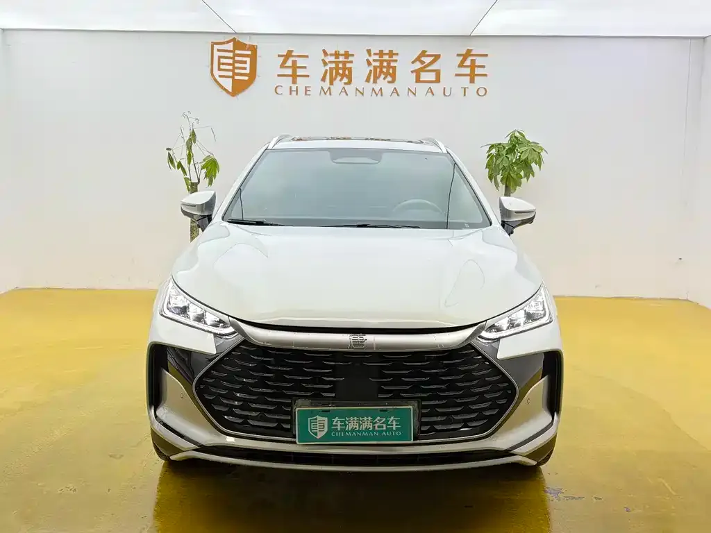 BYD Tang New Energy — фото 2