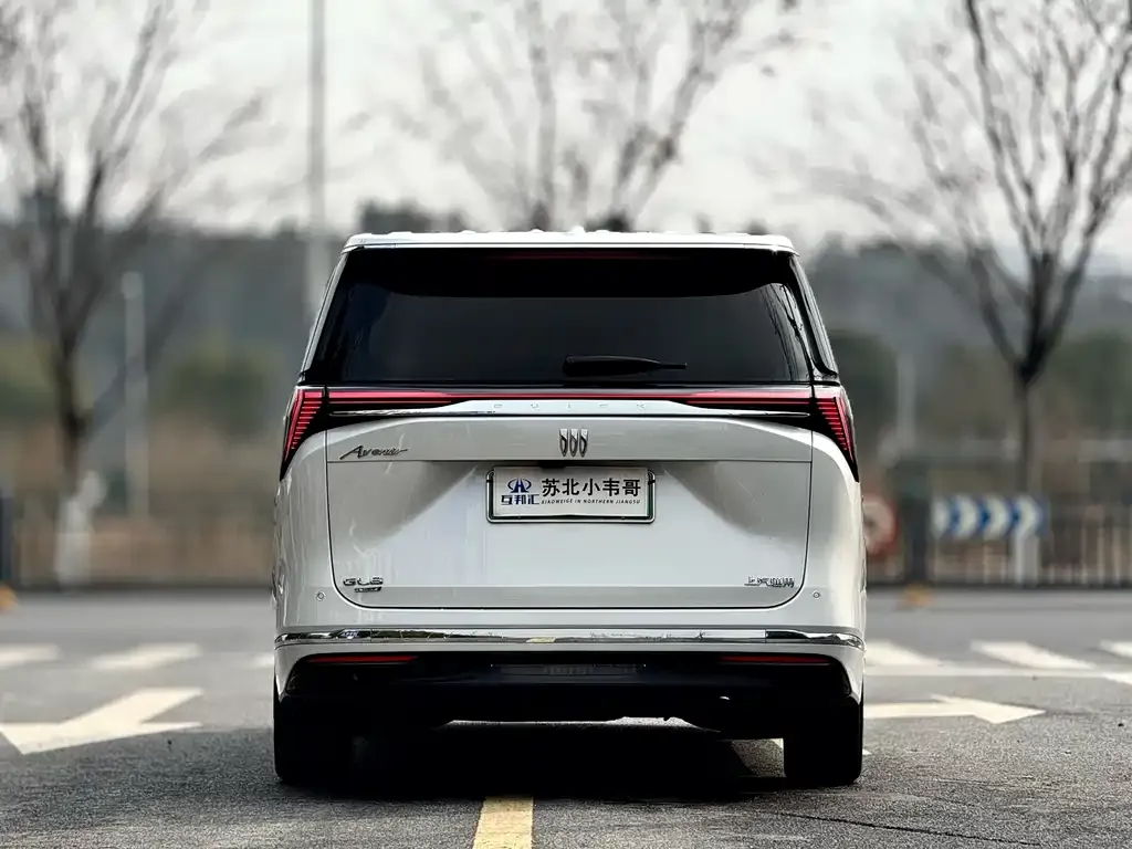 Buick GL8 Hybrid — фото 10