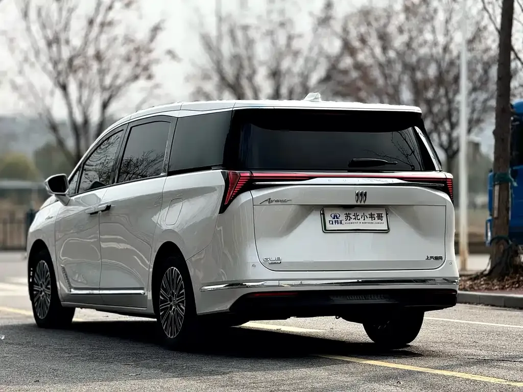 Buick GL8 Hybrid — фото 8