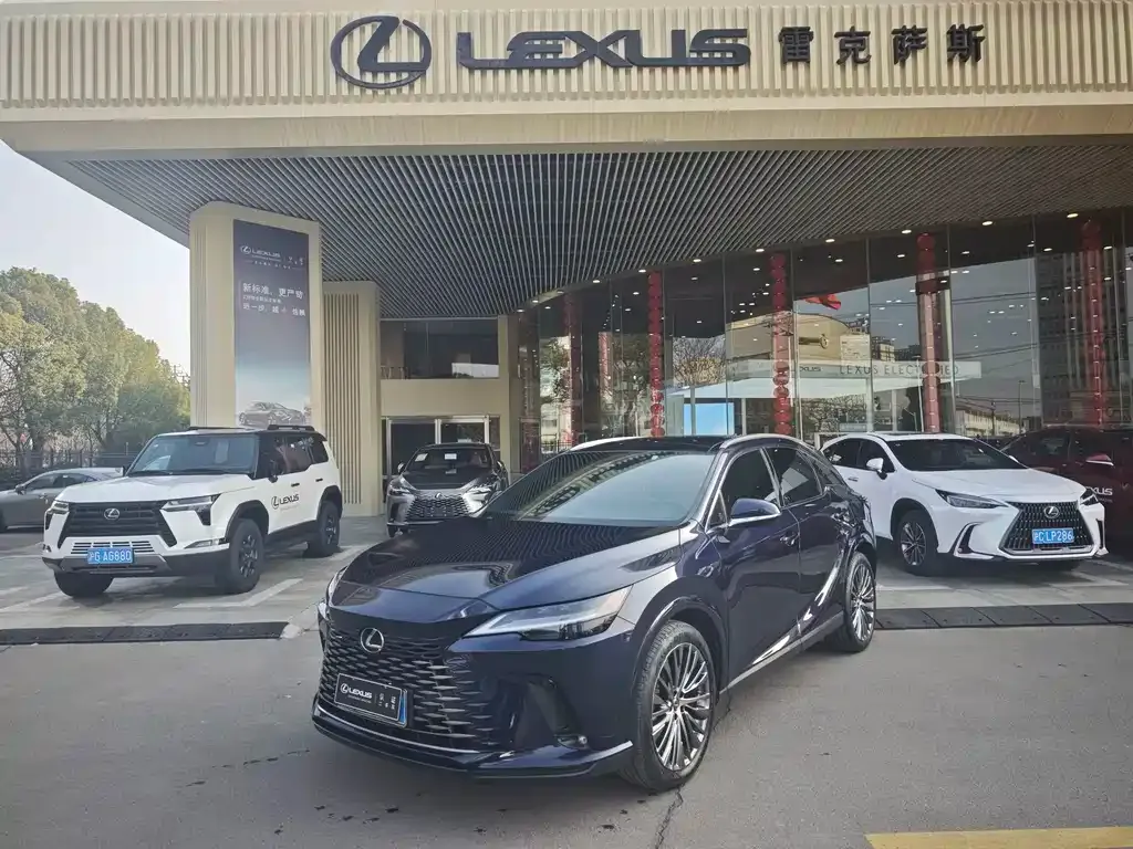Lexus RX 2023 из CN, фото 1