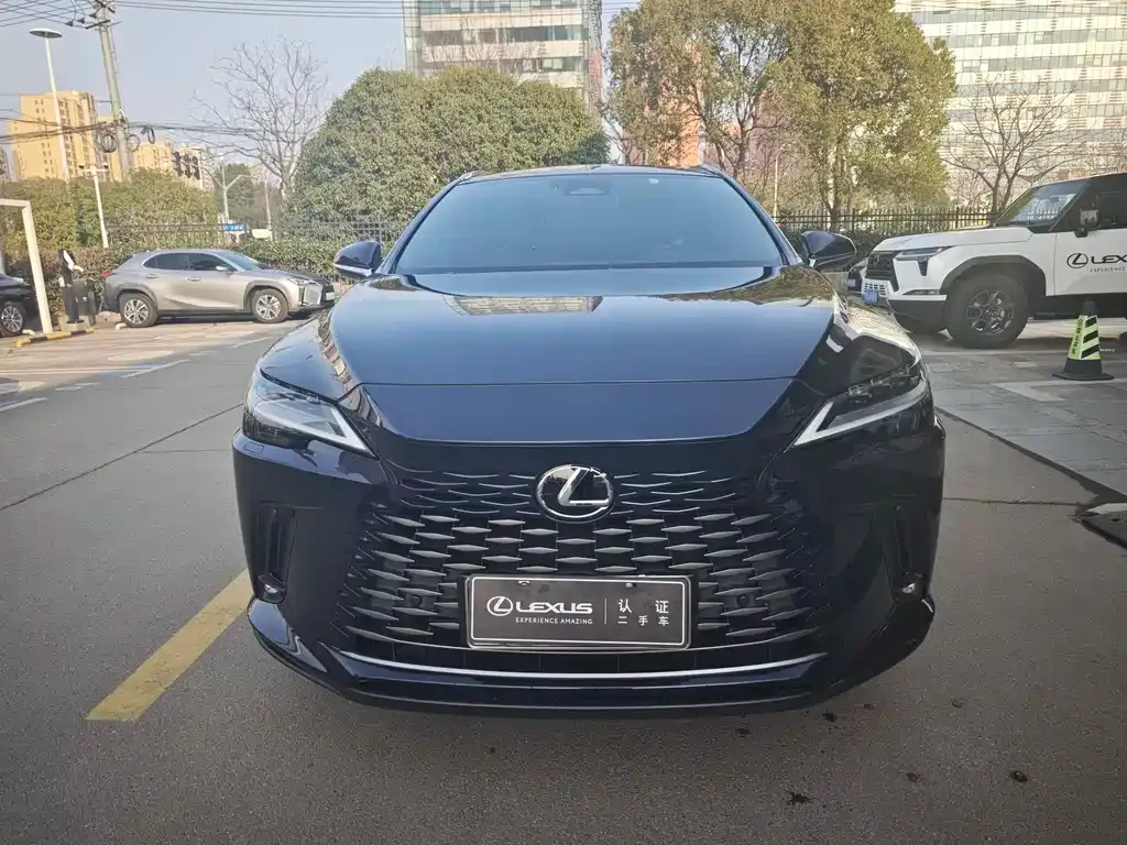Lexus RX 2023 из CN, фото 7