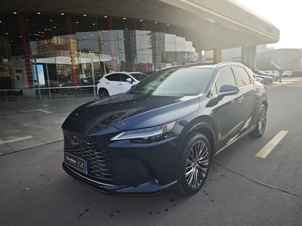 Lexus RX 2023 из CN, фото 4