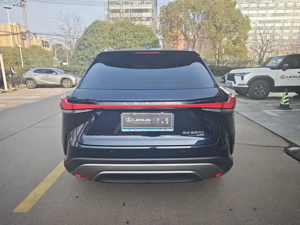 Lexus RX 2023 из CN, фото 8