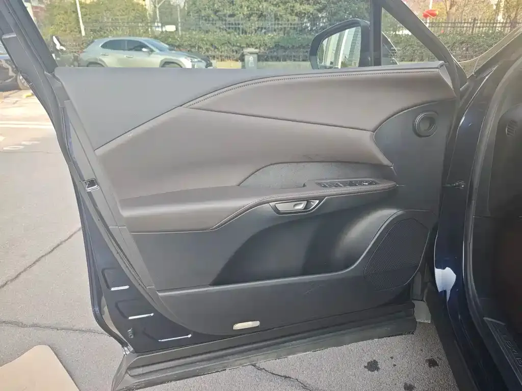 Lexus RX 2023 из CN, фото 6