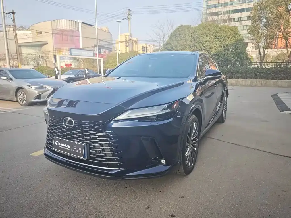 Lexus RX 2023 из CN, фото 10