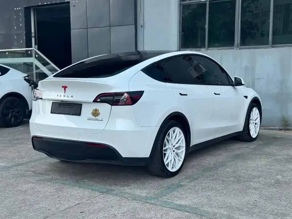 Tesla Model Y — фото 10