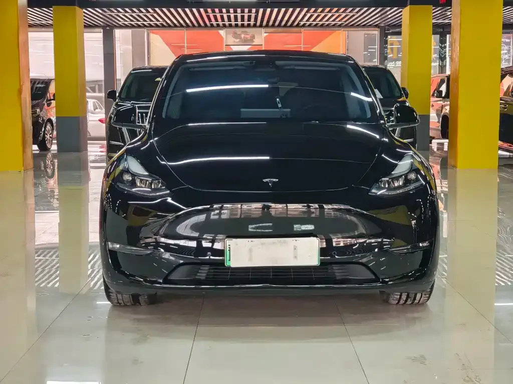 Tesla Model Y — фото 2