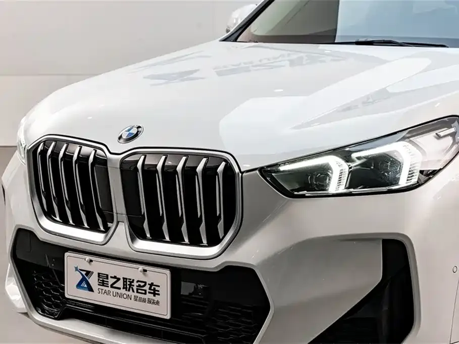 BMW X1 — фото 2