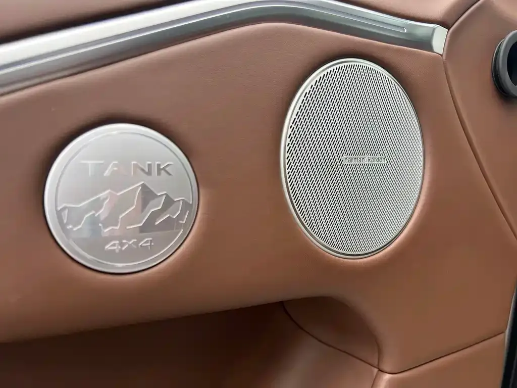 Tank 700 New Energy 2024 из CN, фото 3