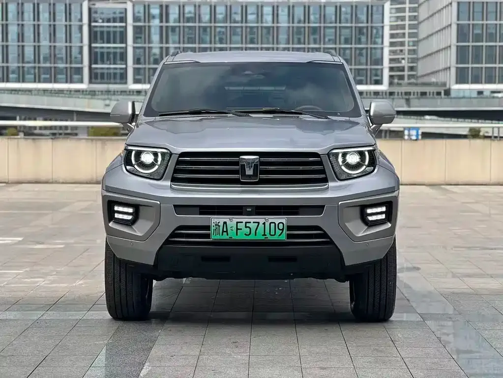 Tank 700 New Energy 2024 из CN, фото 7