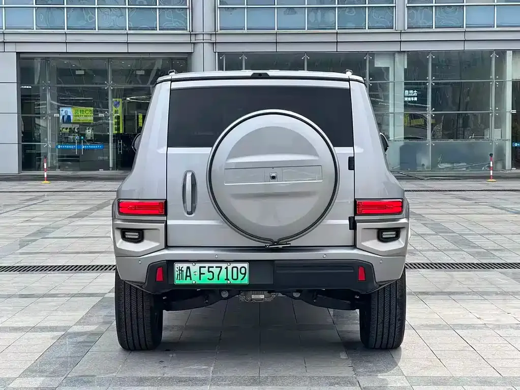 Tank 700 New Energy 2024 из CN, фото 10