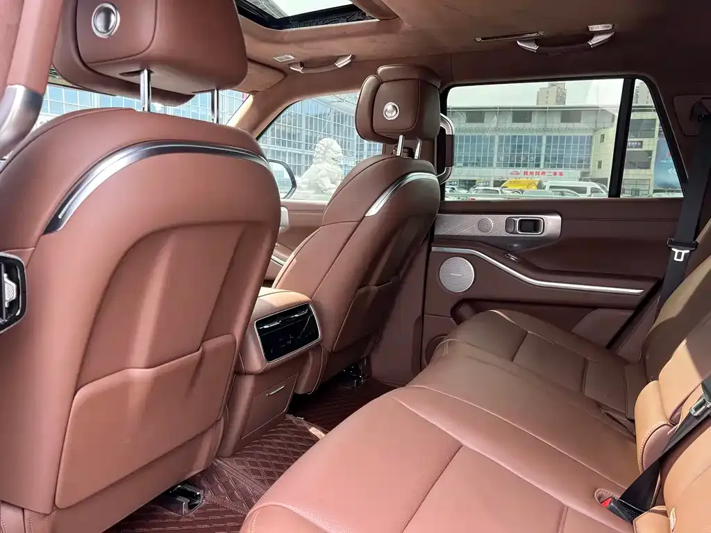 Tank 700 New Energy 2024 из CN, фото 5