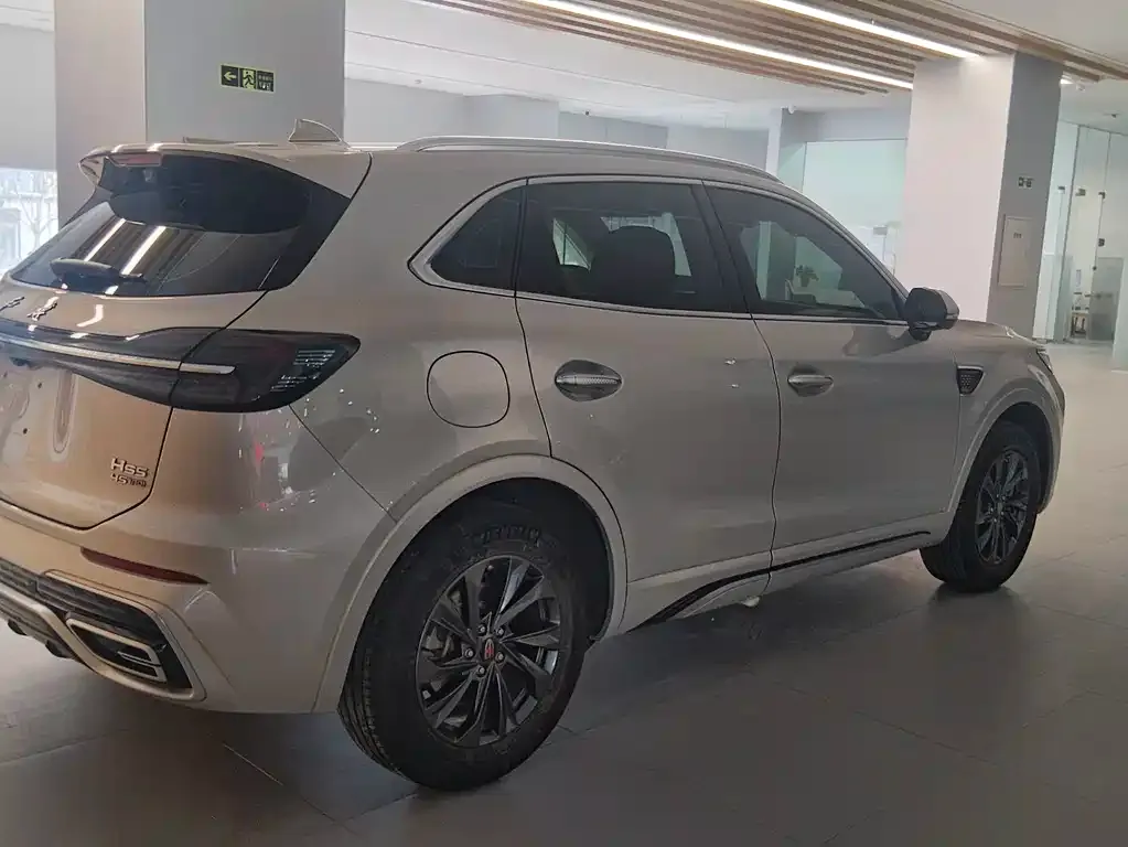 Hongqi HS5 2023 из CN, фото 7