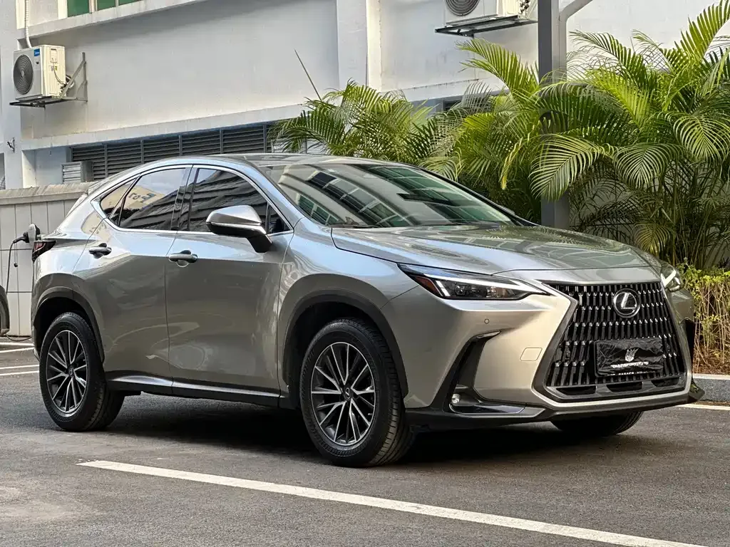 Lexus NX 2023 из CN, фото 3