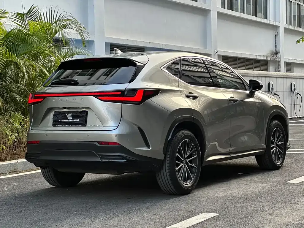Lexus NX 2023 из CN, фото 5