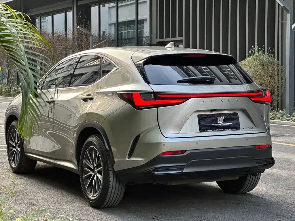 Lexus NX 2023 из CN, фото 6