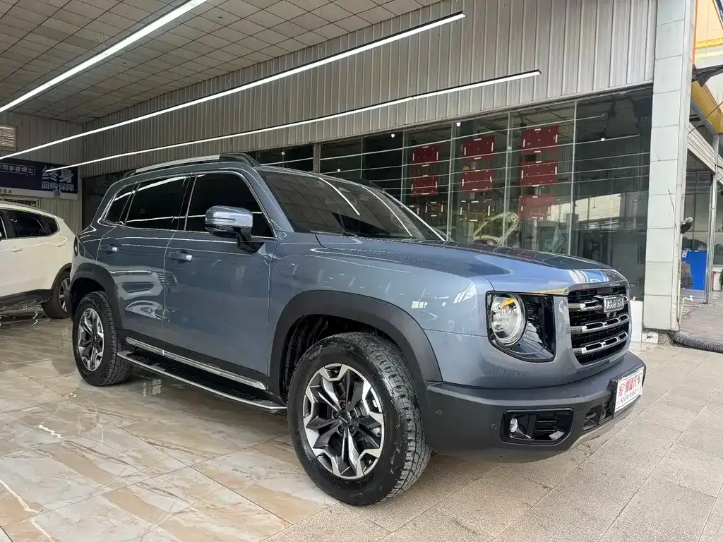 Haval Big Dog 2021 из CN, фото 10