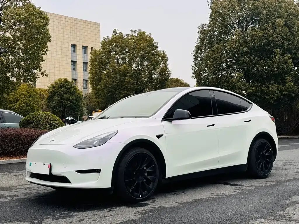 Tesla Model Y 2021 из CN, фото 1