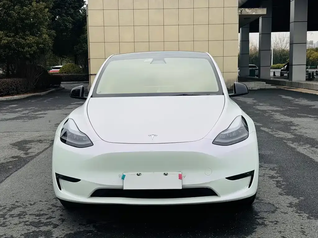 Tesla Model Y 2021 из CN, фото 6