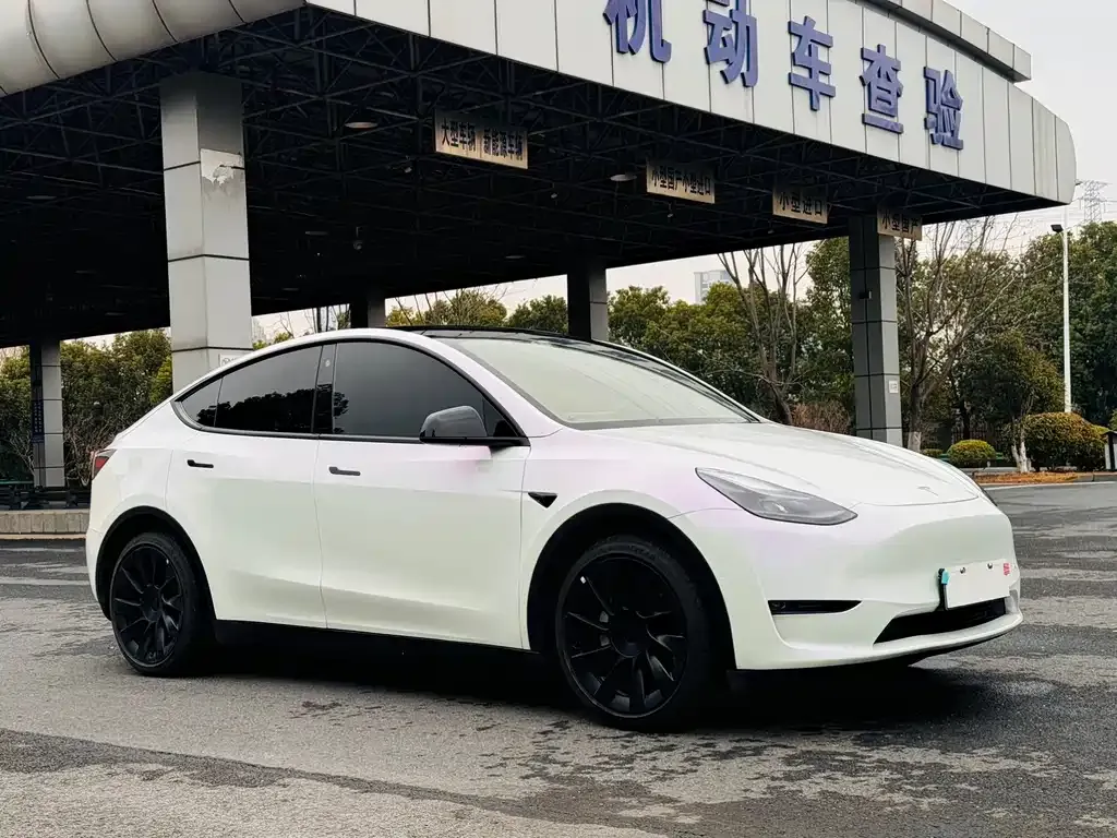 Tesla Model Y 2021 из CN, фото 7