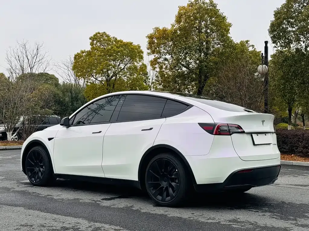 Tesla Model Y 2021 из CN, фото 8