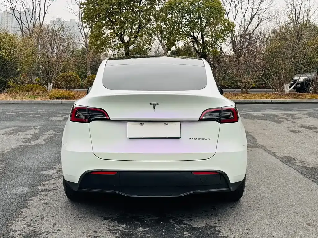 Tesla Model Y 2021 из CN, фото 10