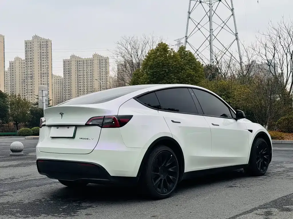 Tesla Model Y 2021 из CN, фото 3