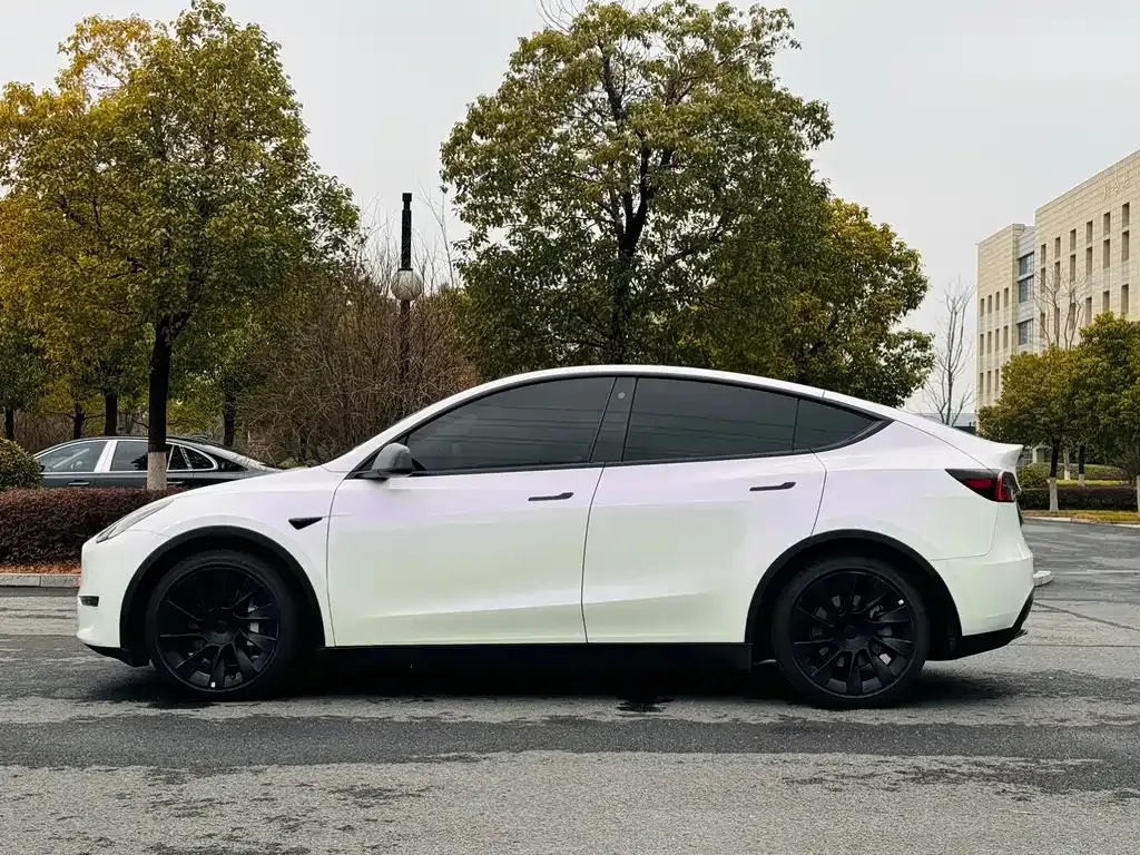 Tesla Model Y 2021 из CN, фото 9
