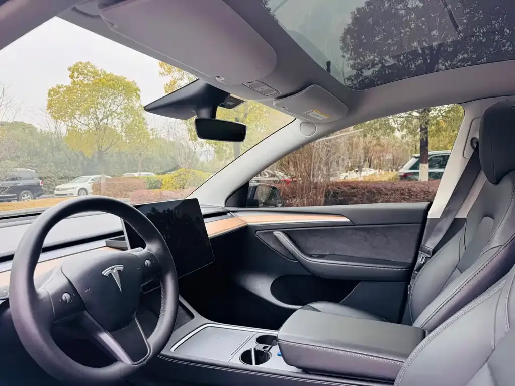 Tesla Model Y 2021 из CN, фото 2
