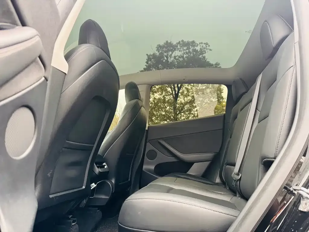 Tesla Model Y 2021 из CN, фото 4