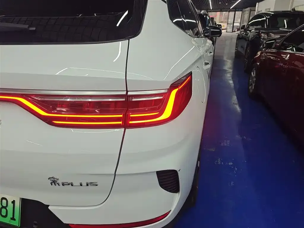BYD PLUS New Energy 2022 из CN, фото 5