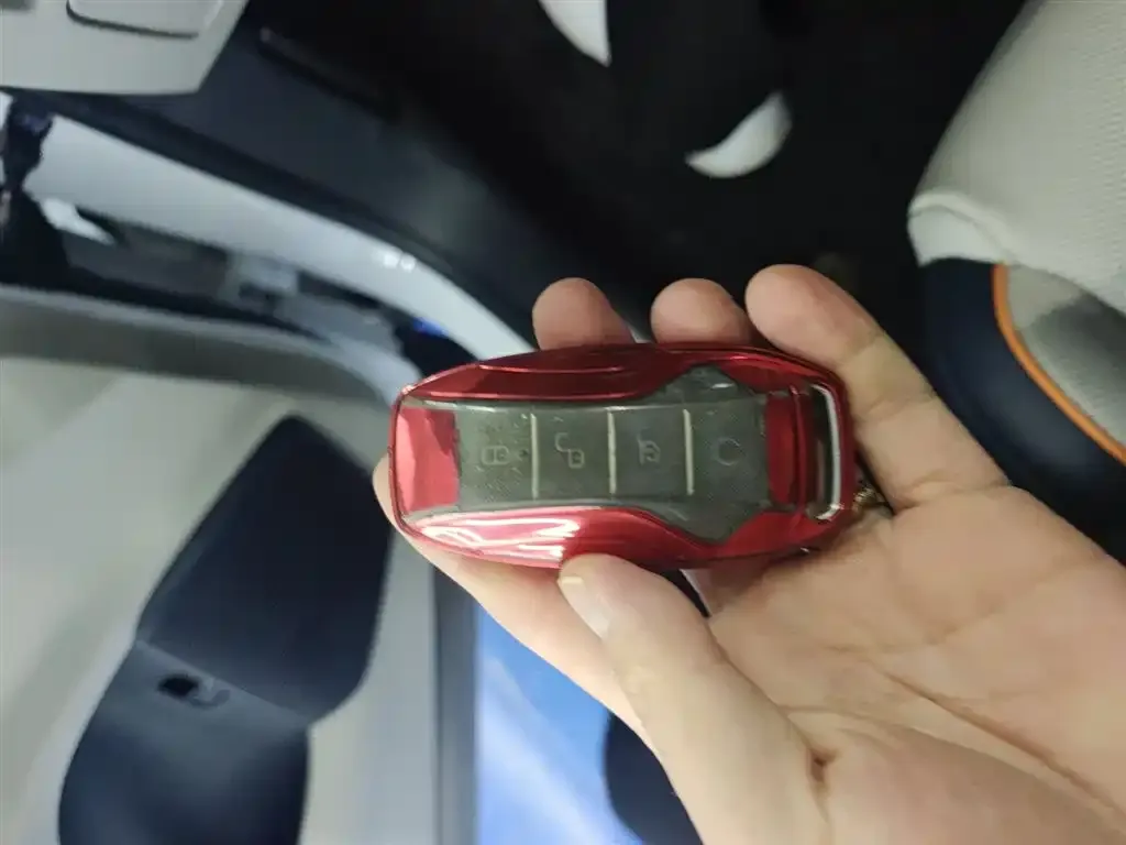 BYD PLUS New Energy 2022 из CN, фото 2