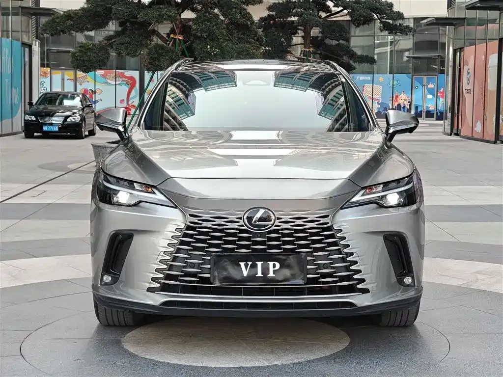 Lexus RX 2023 из CN, фото 10