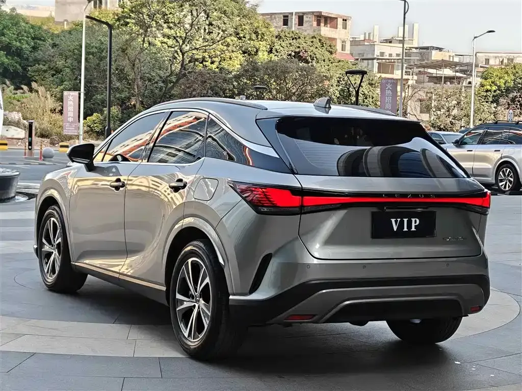 Lexus RX 2023 из CN, фото 8