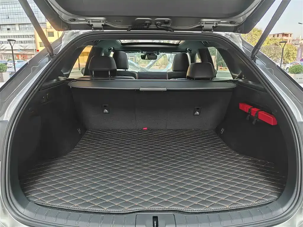 Lexus RX 2023 из CN, фото 3