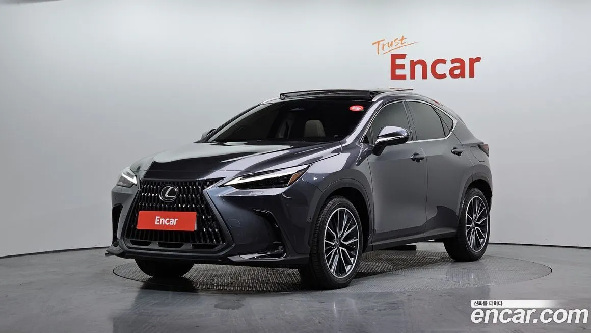 Lexus NX 2025 из KR, фото 1