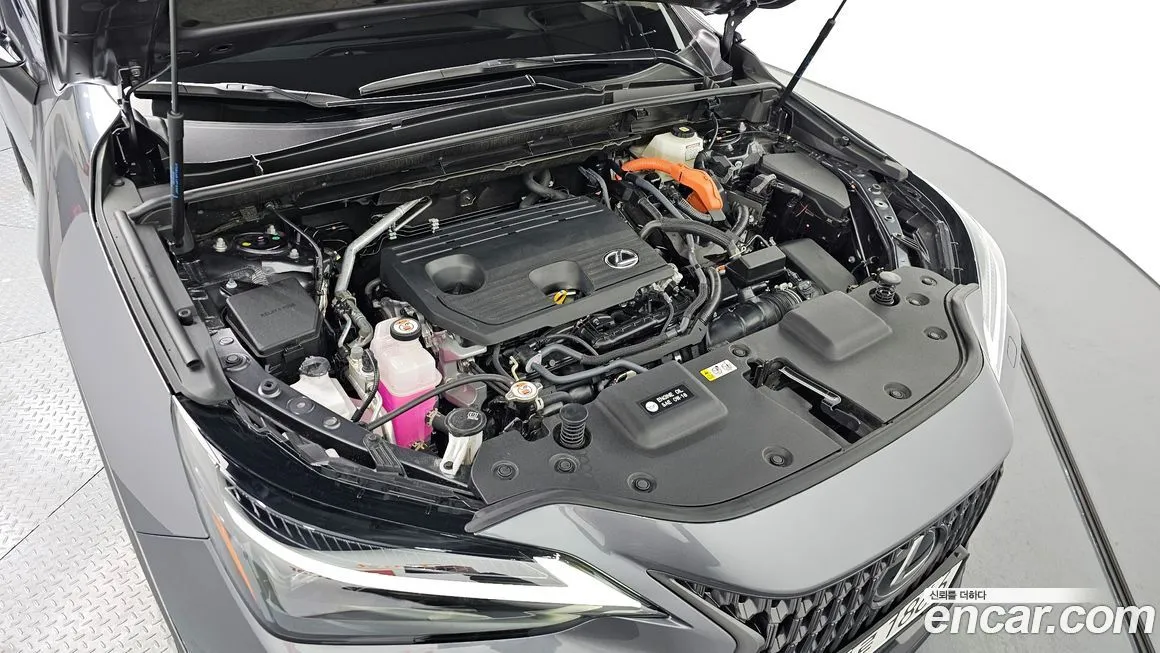 Lexus NX 2025 из KR, фото 9