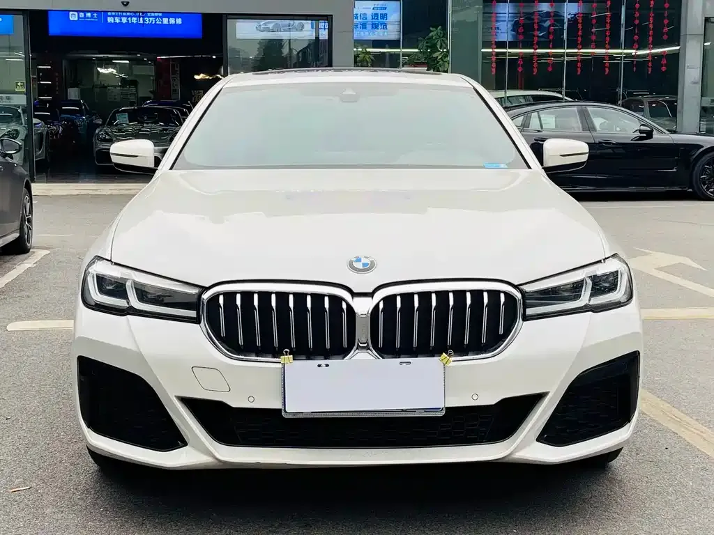 BMW 5 Series 2023 из CN, фото 1