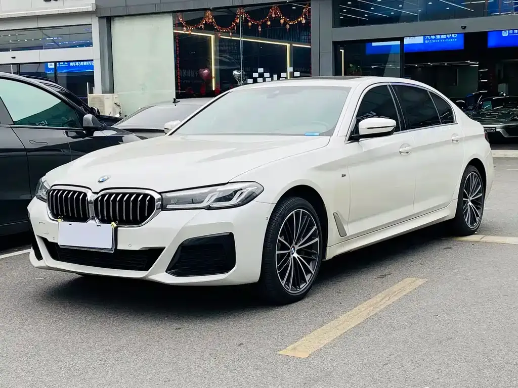 BMW 5 Series 2023 из CN, фото 8