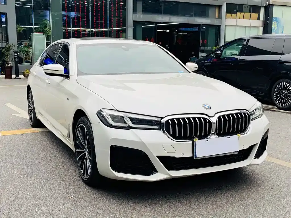BMW 5 Series 2023 из CN, фото 7